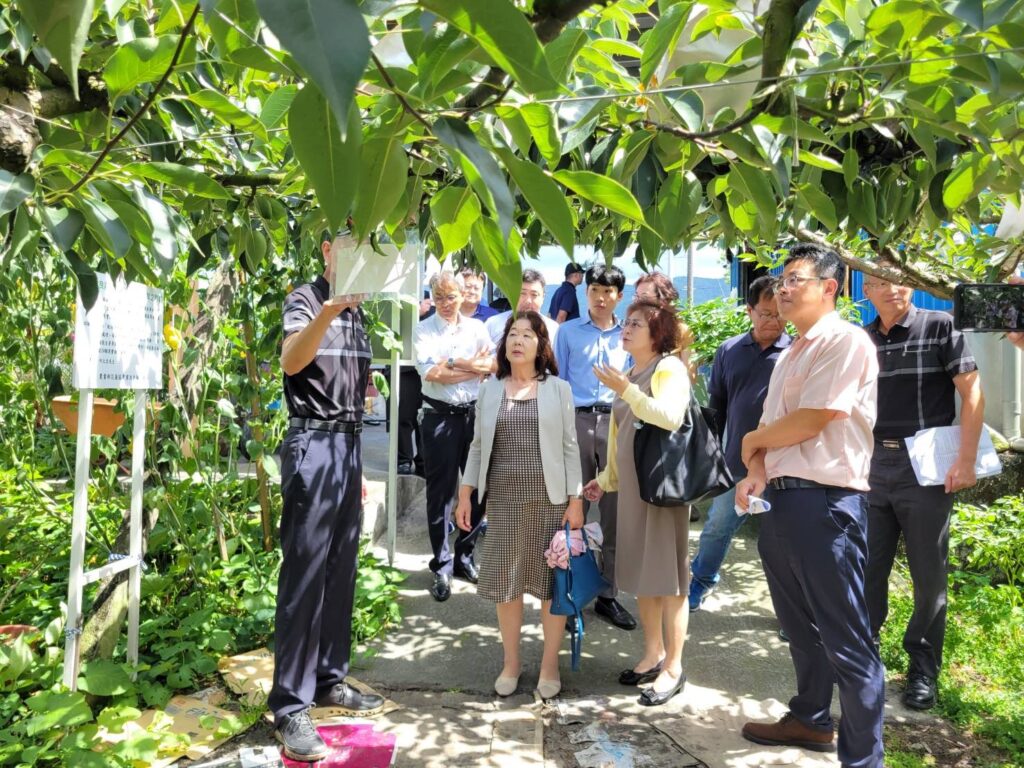 台湾。台風4号の被害に対し、お見舞い申し上げます