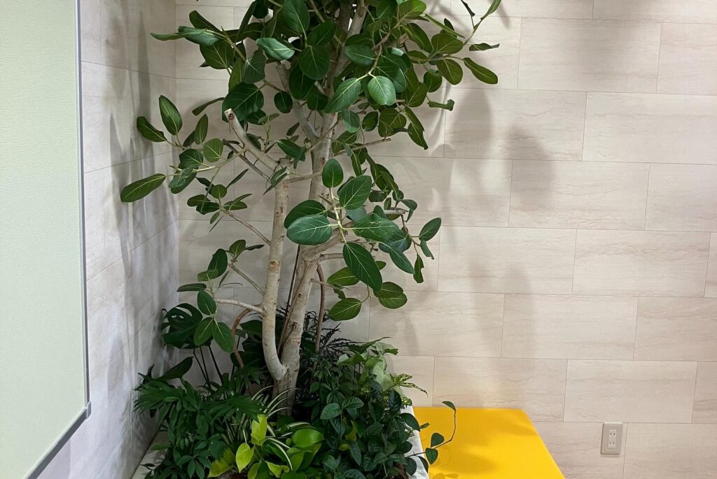 多古学童保育所・多古第一小学校増築が完成‼︎