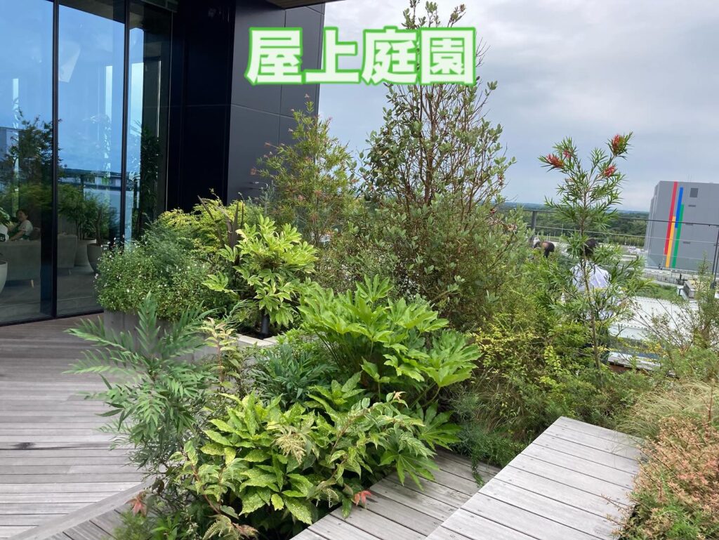 障がい者雇用の未来×成田空港第2の開港プロジェクト